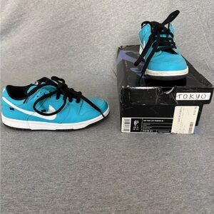 Nike Dunk SB Tokyo